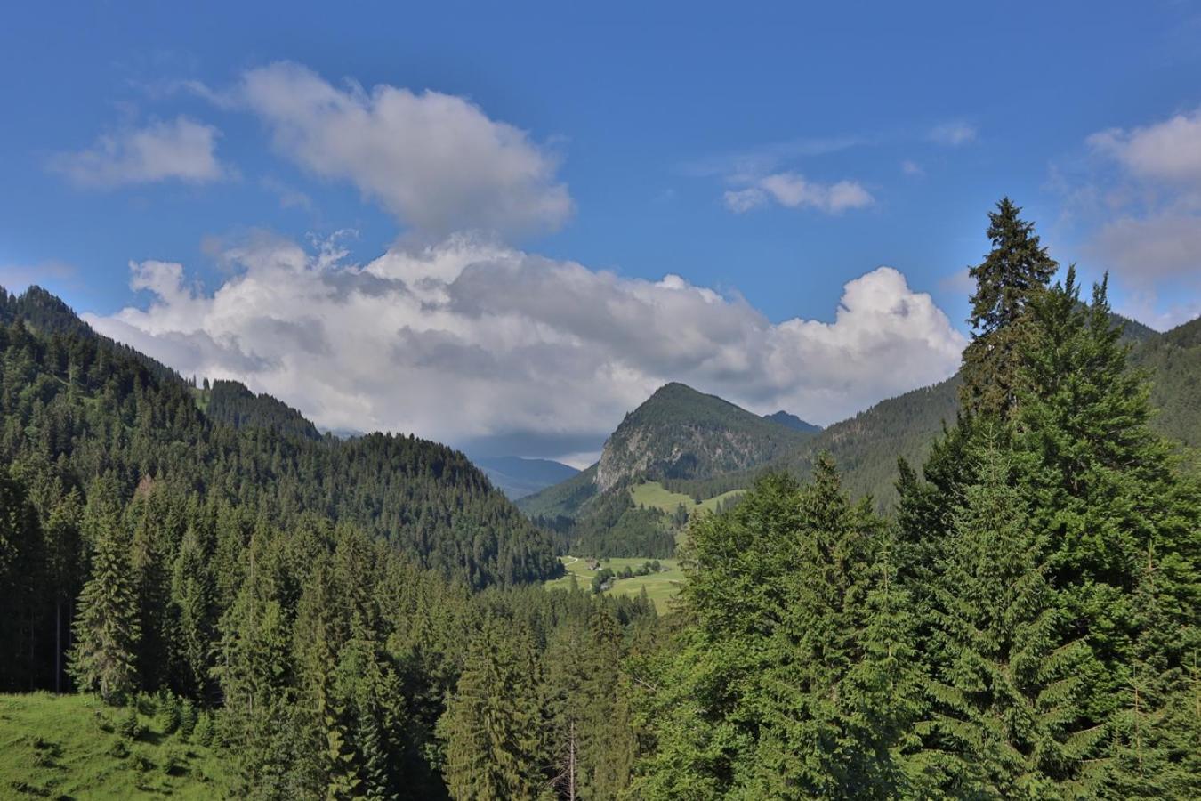 Ruhehotel & Naturresort Rehbach - Adults Only ชาตต์วัลด์ ภายนอก รูปภาพ